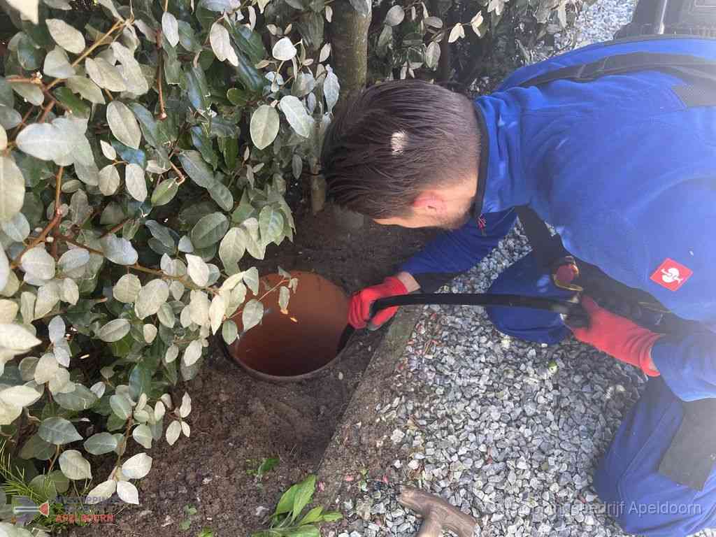 Rioolvliegjes Apeldoorn Rioolvliegjes Apeldoorn
